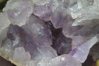 Natural Jacaranda Amethyst Cluster x 1 From Mumbwa, Zambia - TopRock