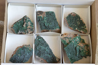 Natural Crystalline Micro Botryoidal Malachite Specimens  x 6 From Tenke Fungurume, Congo - TopRock