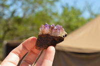 Natural Small Amethyst & Basalt Geode Specimens  x 35 From Zululand, South Africa - TopRock