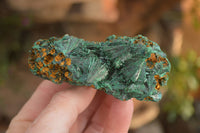 Natural Chatoyant Silky Malachite Specimens  x 6 From Congo