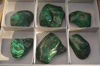 Polished Flower Banded Malachite Free Forms  x 6 From Congo - Toprock Gemstones and Minerals 