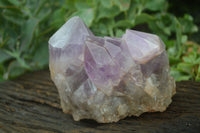 Natural Jacaranda Amethyst Cluster x 1 From Mumbwa, Zambia - TopRock