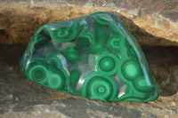 Polished Flower Banded Malachite Free Forms  x 12 From Congo - Toprock Gemstones and Minerals 