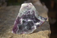 Polished One Side Polished Watermelon Fluorite Pieces  x 12 From Uis, Namibia