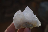 Natural White Cactus Flower Spirit Quartz Specimens x 12 From Boekenhouthoek, South Africa