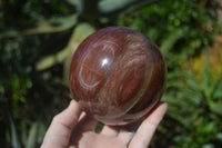 Polished Petrified Red Podocarpus Wood Sphere With Rosewood Stand x 1 From Madagascar - Toprock Gemstones and Minerals 