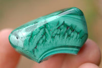 Polished Malachite Hand Finished Gallet Free Forms - sold per kg - From Congo - TopRock