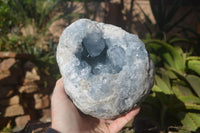 Natural Blue Celestite Geode Specimen  x 1 From Sakoany, Madagascar