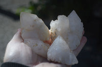 Natural "Cathedral Window" Cascading Candle Quartz Crystals x 12 From Madagascar - Toprock Gemstones and Minerals 