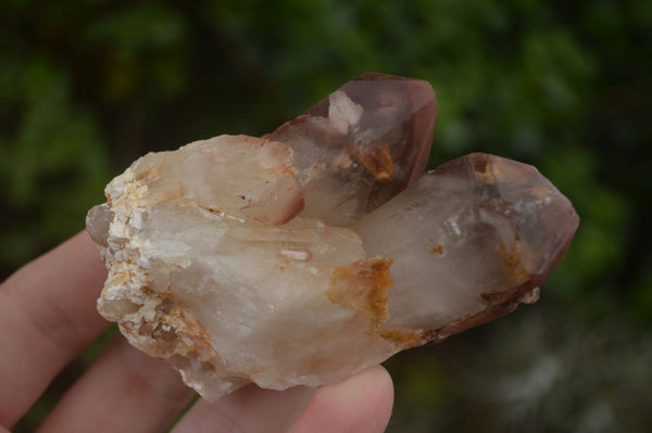 Natural Red Hematoid Quartz Specimens x 12 From Karoi, Zimbabwe - TopRock