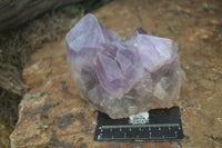 Natural Jacaranda Amethyst Cluster x 1 From Mumbwa, Zambia - TopRock