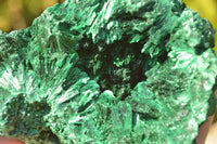 Natural Chatoyant Silky Malachite Specimens  x 2 From Kasompe, Congo - TopRock