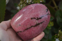 Polished Pink Rhodonite Standing Free Forms  x 3 From Madagascar - Toprock Gemstones and Minerals 