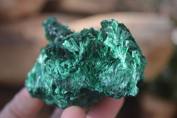 Natural Malachite Specimens  x 3 From Congo