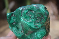 Polished Malachite Free Forms x 3 From Kolwezi, Congo