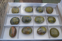 Polished Green Opal Palm Stones  x 12 From Madagascar - Toprock Gemstones and Minerals 