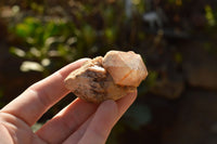 Natural Single Pineapple Quartz Crystals  x 35 From Madagascar - TopRock