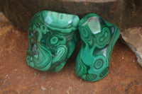 Polished Flower Banded Malachite Free Forms  x 12 From Congo - Toprock Gemstones and Minerals 