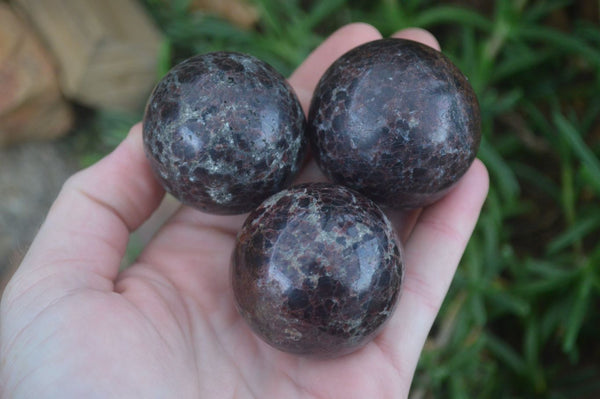 Polished Pyrope Red Garnet Matrix Spheres  x 6 From Madagascar - Toprock Gemstones and Minerals 