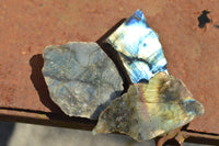 Polished One Side Polished Labradorite Slices  x 12 From Tulear, Madagascar - TopRock