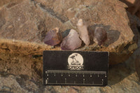 Natural Window Amethyst Crystals  x 35 From Chiredzi, Zimbabwe