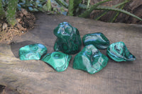 Polished Flower Banded Malachite Free Forms  x 6 From Congo - Toprock Gemstones and Minerals 