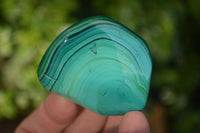 Polished Flower Banded Malachite Free Forms  x 12 From Congo - Toprock Gemstones and Minerals 