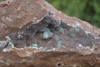 Natural Drusy Coated Ball Malachite On Dolomite Specimen  x 1 From Likasi, Congo