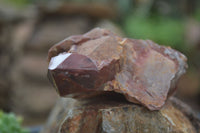 Natural Red Hematite Quartz Crystals  x 6 From Karoi, Zimbabwe - TopRock