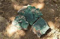 Natural Crystalline Micro Botryoidal Malachite Specimens  x 6 From Tenke Fungurume, Congo - TopRock