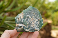 Natural Green Mtorolite / Emerald Chrysoprase Cutting Material  x 32 From Zimbabwe - TopRock