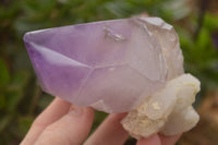 Polished  Stunning Window Amethyst Crystals x 3 From Southern Africa