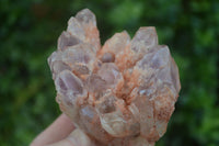 Natural Sugar Amethyst Clusters  x 6 From Zambia - Toprock Gemstones and Minerals 