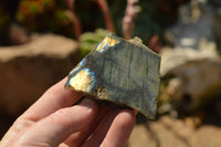 Polished One Side Polished Labradorite Slices  x 12 From Tulear, Madagascar - TopRock