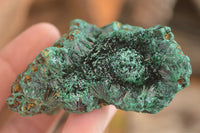 Natural Chatoyant Silky Malachite Specimens  x 6 From Congo