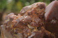 Natural Extra Large Red Hematite Phantom Quartz Cluster  x 1 From Karoi, Zimbabwe - TopRock