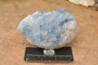 Polished Blue Celestite Crystal Egg Geodes  x 4 From Sakoany, Madagascar - TopRock