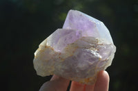 Natural Jacaranda Amethyst Clusters  x 3 From Mumbwa, Zambia - Toprock Gemstones and Minerals 