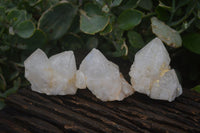 Natural "Cathedral Window" Cascading Candle Quartz Crystals x 12 From Madagascar - Toprock Gemstones and Minerals 