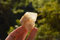 Natural Single Pineapple Quartz Crystals  x 35 From Madagascar - TopRock