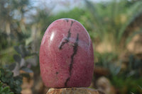 Polished Pink Rhodonite Standing Free Forms  x 3 From Madagascar - Toprock Gemstones and Minerals 