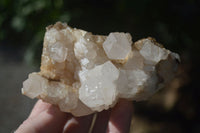 Natural Clear Quartz Clusters  x 6 From Madagascar - Toprock Gemstones and Minerals 