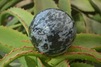 Polished Gabbro Merlinite Spheres  x 2 From Ambatondrazaka, Madagascar