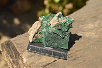 Natural Crystalline Micro Botryoidal Malachite Specimens  x 6 From Tenke Fungurume, Congo - TopRock