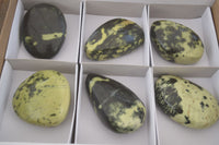 Polished Leopard Stone Free Forms  x 6 From Zimbabwe