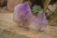 Polished  Stunning Window Amethyst Crystals x 3 From Southern Africa