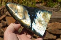 Polished Labradorite Standing Free Forms With Intense Blue & Gold Flash x 2 From Sakoany, Madagascar - TopRock