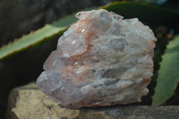 Natural Sugar Amethyst Clusters  x 6 From Zambia - Toprock Gemstones and Minerals 