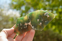 Natural Green Mtorolite / Emerald Chrysoprase Cutting Material  x 32 From Zimbabwe - TopRock