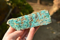 Natural Drusy Crystalline Chrysocolla With Malachite & Black Heterogenite x 8 From Likasi, Congo - TopRock